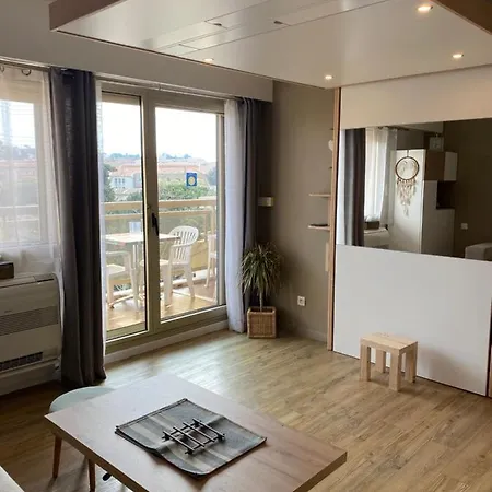 Appartement Le Petit Mouchoir Et Son Garage Sainte-Maxime