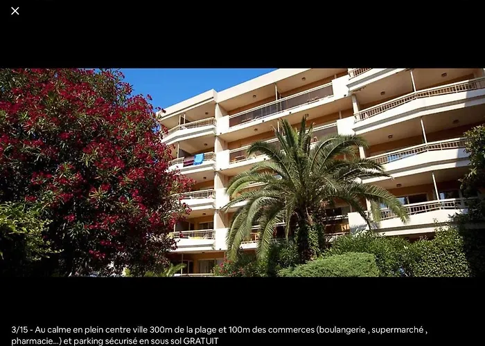 Le Petit Mouchoir Et Son Garage Appartement